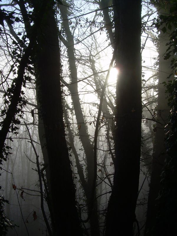 dscn2289.jpg