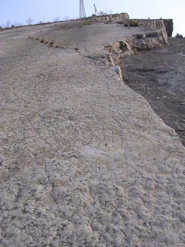 dscn0608.jpg