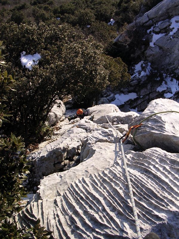 dscn0520.jpg
