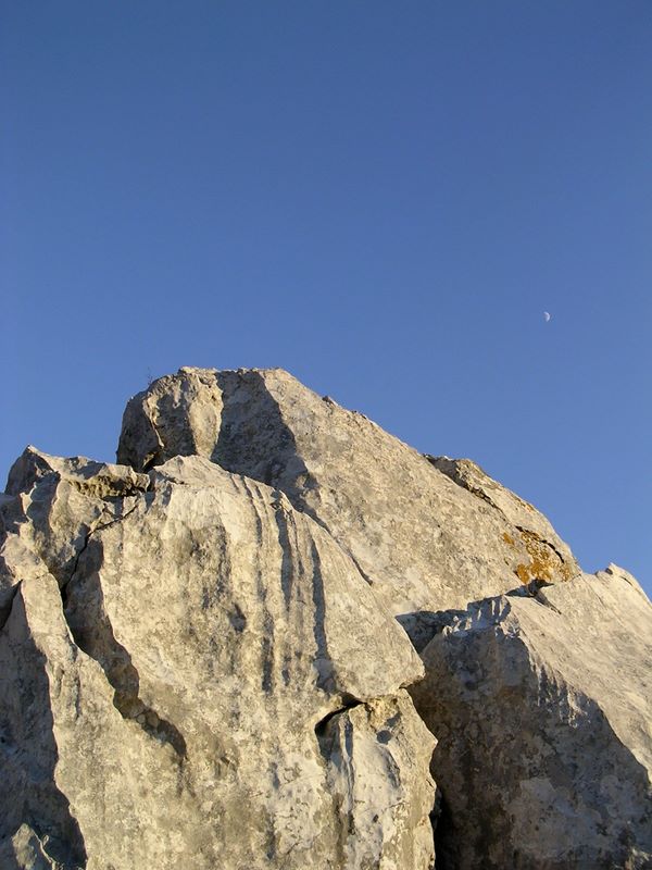 dscn0523.jpg